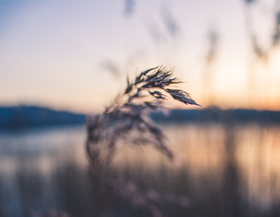 30 Signs you're a highly sensitive person