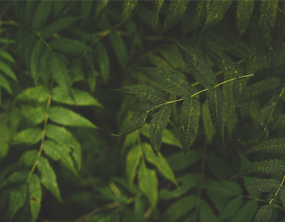 Minimalism series