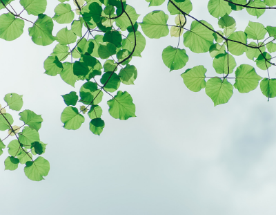 declutter your life