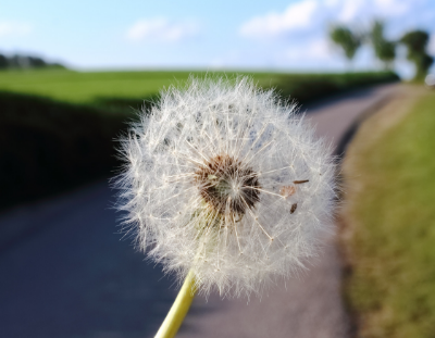 Healthy productivity habits