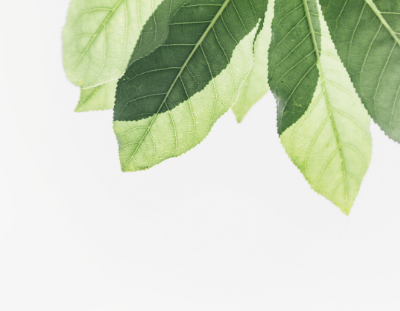Minimalist habits