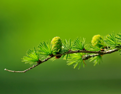 How to overcome perfectionism