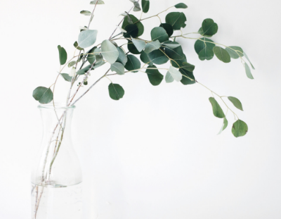 Minimalism for beginners