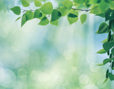 Simplify your life in 20 weeks