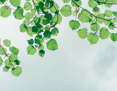 Mental health self care