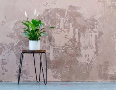 Minimalism for beginners